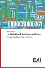Malattia di Addison nel Cane