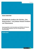 Musikalische Analyse des Stuckes 