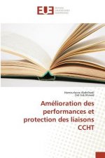 Amelioration Des Performances Et Protection Des Liaisons Ccht