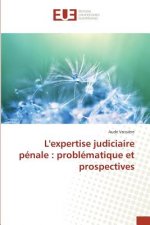 Lexpertise Judiciaire Penale