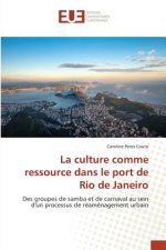 Culture Comme Ressource Dans Le Port de Rio de Janeiro