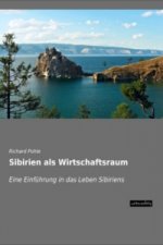 Sibirien als Wirtschaftsraum