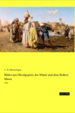 Bilder aus Oberägypten, der Wüste und dem Rothen Meere