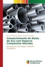 Comportamento de Dutos de Aco com Reparos Compositos Hibridos
