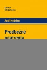 Predbežné opatrenia