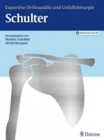 Expertise Schulter