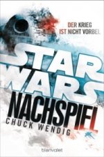 Star Wars - Nachspiel, Der Krieg ist nicht vorbei