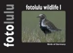 fotolulu wildlife I