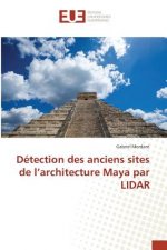 Detection Des Anciens Sites de l'Architecture Maya Par Lidar