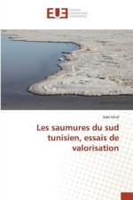 Les Saumures Du Sud Tunisien, Essais de Valorisation