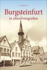 Burgsteinfurt in historischen Fotografien