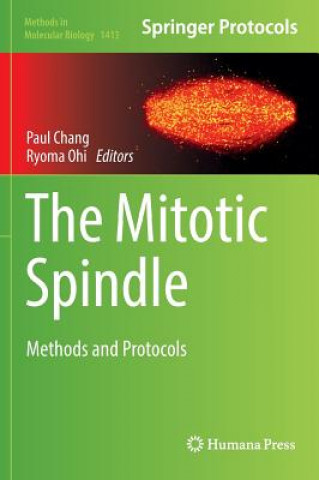 Mitotic Spindle