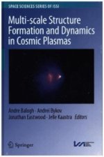 Multi-scale Structure Formation and Dynamics in Cosmic Plasmas