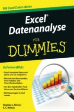Excel Datenanalyse fur Dummies