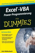 Excel-VBA Alles in einem Band fur Dummies