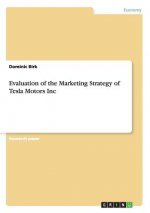 Evaluation of the Marketing Strategy of Tesla Motors Inc