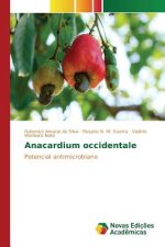 Anacardium occidentale