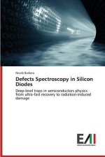 Defects Spectroscopy in Silicon Diodes