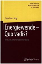 Energiewende - Quo vadis?