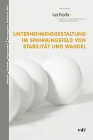 Unternehmensgestaltung im Spannungsfeld von Stabilität und Wandel. Bd.2