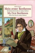 Mein erster Beethoven, Klavier