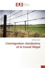 Limmigration Clandestine Et Le Travail Illegal