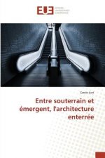 Entre Souterrain Et Emergent, Larchitecture Enterree