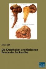 Die Krankheiten und tierischen Feinde der Zuckerrübe