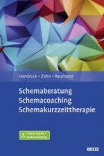 Schemaberatung, Schemacoaching, Schemakurzzeittherapie, m. 1 Buch, m. 1 E-Book