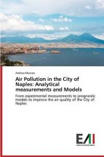 Air Pollution in the City of Naples