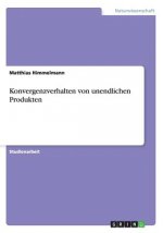 Konvergenzverhalten von unendlichen Produkten