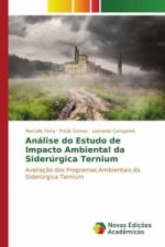 Análise do Estudo de Impacto Ambiental da Siderúrgica Ternium