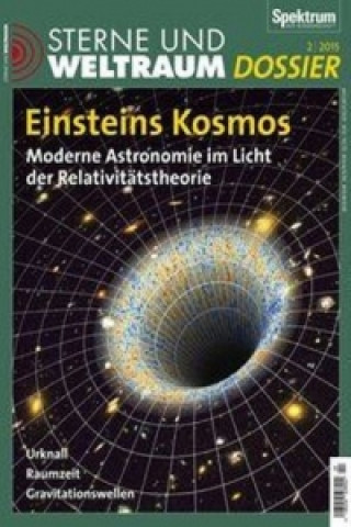 Einsteins Kosmos