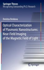 Optical Characterization of Plasmonic Nanostructures: Near-Field Imaging of the Magnetic Field of Light