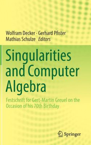 Singularities and Computer Algebra