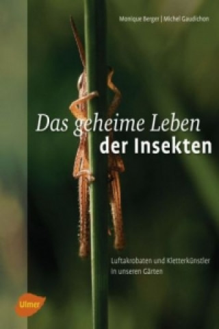 Das geheime Leben der Insekten