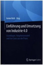 Einfuhrung und Umsetzung von Industrie 4.0
