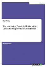 Blut unter dem Dunkelfeldmikroskop.Dunkelfelddiagnostik nach Enderlein