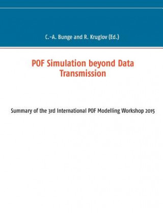 POF Simulation beyond Data Transmission