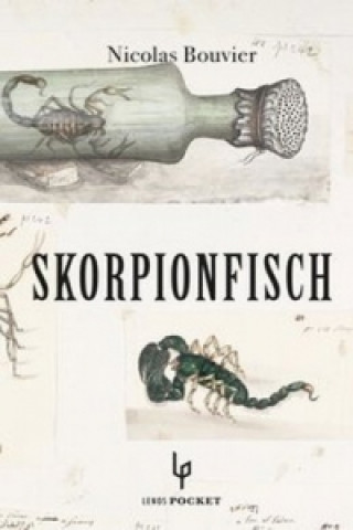 Skorpionfisch