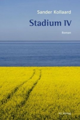 Stadium IV