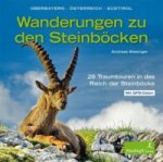 Wanderungen zu den Steinböcken