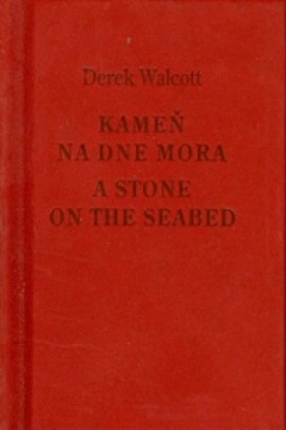 Kameň na dne mora/A Stone on the Seabed