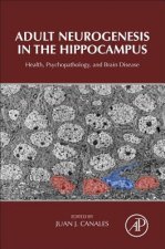 Adult Neurogenesis in the Hippocampus
