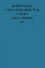 Geier sind pünktliche Tiere