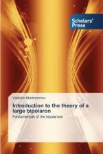 Introduction to the theory of a large bipolaron