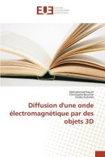 Diffusion d'une onde electromagnetique par des objets 3D