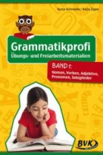 Grammatikprofi: Übungs- und Freiarbeitsmaterialien. Bd.1