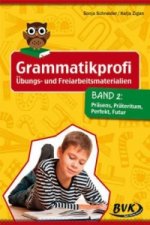Grammatikprofi: Übungs- und Freiarbeitsmaterialien. Bd.2