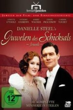 Juwelen des Schicksal - Die komplette Miniserie nach Danielle Steel, 2 DVDs